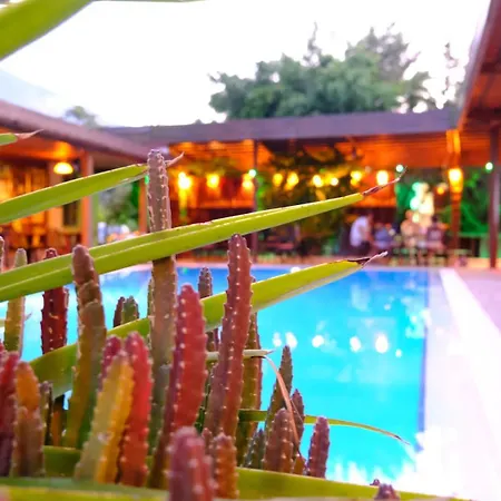 Bella View Art Boutique