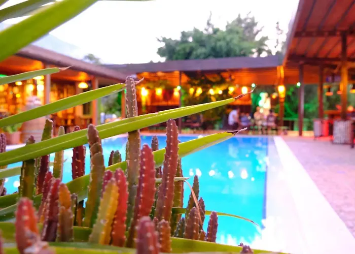 Bella View Art Boutique